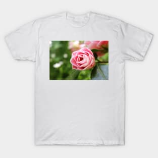 Pink Striped Rose T-Shirt